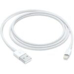 Câble USB-A / Lightning 1m - Apple